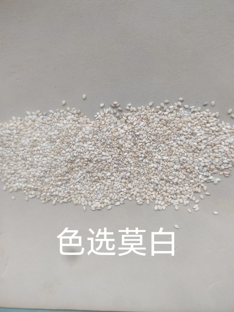 精品色选生熟芝麻