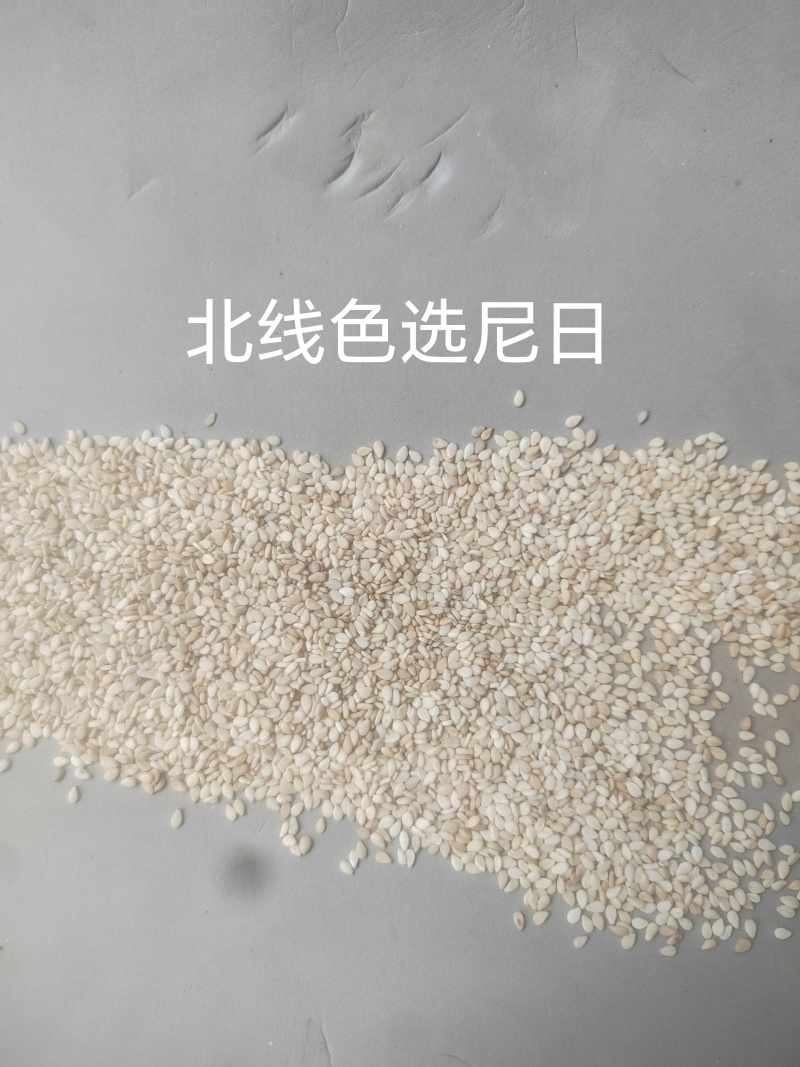 精品色选生熟芝麻