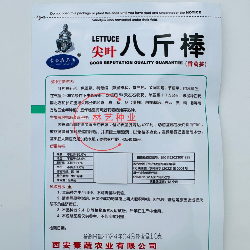 八斤棒莴笋种子耐热耐寒绿肉质浅绿种籽四季春季秋季播莴笋种