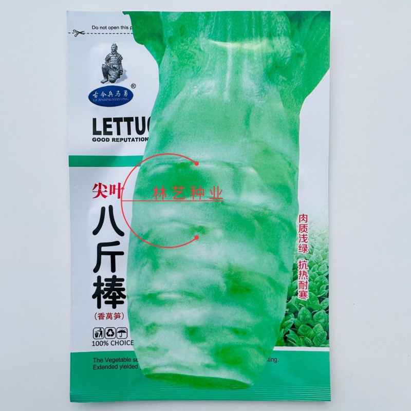 八斤棒莴笋种子耐热耐寒绿肉质浅绿种籽四季春季秋季播莴笋种