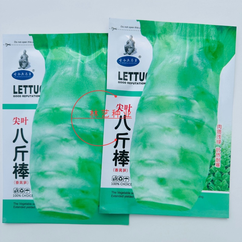 八斤棒莴笋种子耐热耐寒绿肉质浅绿种籽四季春季秋季播莴笋种