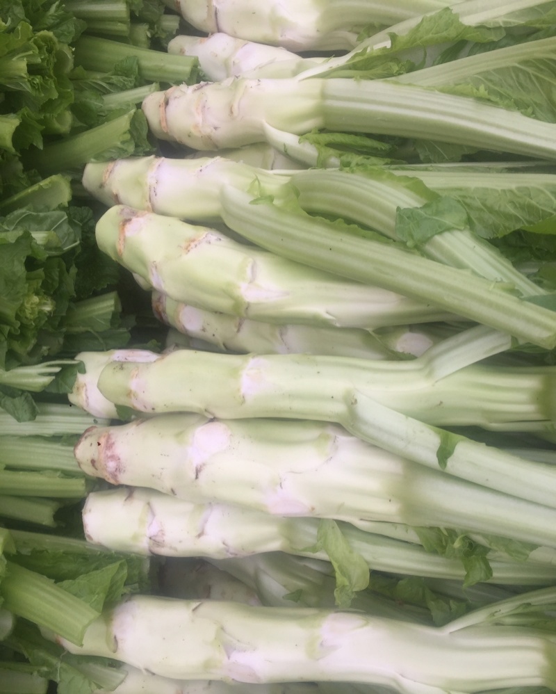 龙盛花叶大棒菜棒菜种子优质高产耐寒抗病商品性佳