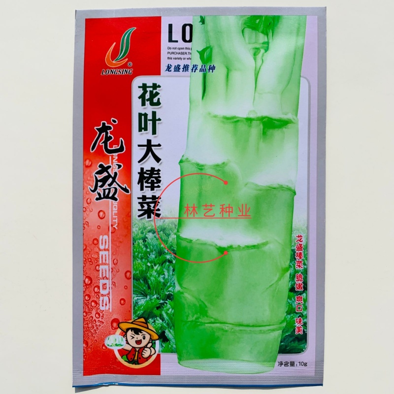 龙盛花叶大棒菜棒菜种子优质高产耐寒抗病商品性佳