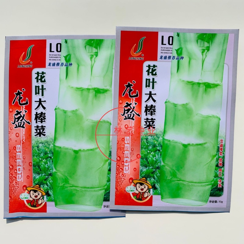 龙盛花叶大棒菜棒菜种子优质高产耐寒抗病商品性佳