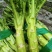 龙盛花叶大棒菜棒菜种子优质高产耐寒抗病商品性佳