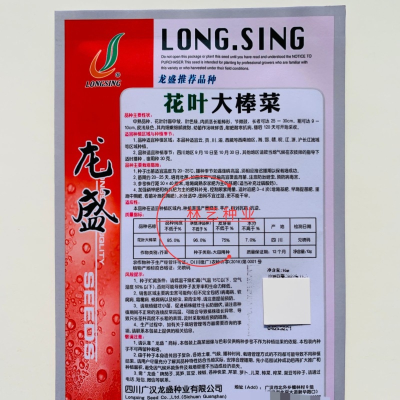 龙盛花叶大棒菜棒菜种子优质高产耐寒抗病商品性佳