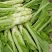 方正棒菜种子大棒薄皮笋菜白皮芥菜四川花叶菜头特色棒棒菜