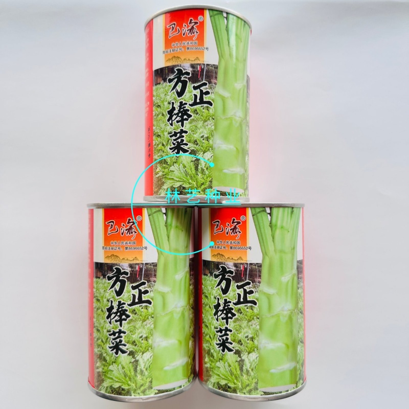 方正棒菜种子大棒薄皮笋菜白皮芥菜四川花叶菜头特色棒棒菜