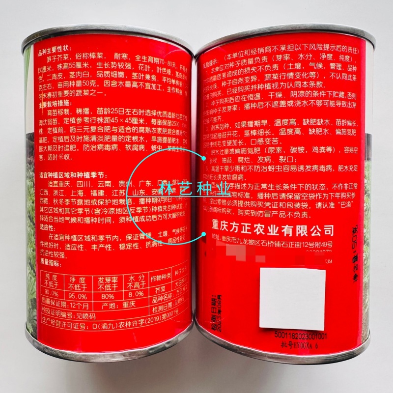 方正棒菜种子大棒薄皮笋菜白皮芥菜四川花叶菜头特色棒棒菜