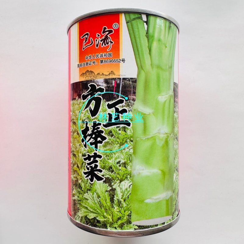 方正棒菜种子大棒薄皮笋菜白皮芥菜四川花叶菜头特色棒棒菜