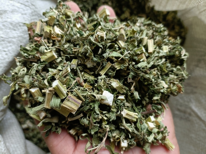 益母草，益母草断子