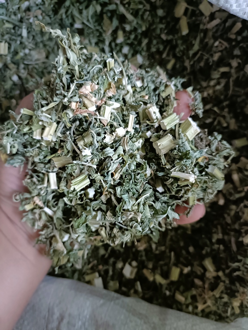 益母草，益母草断子