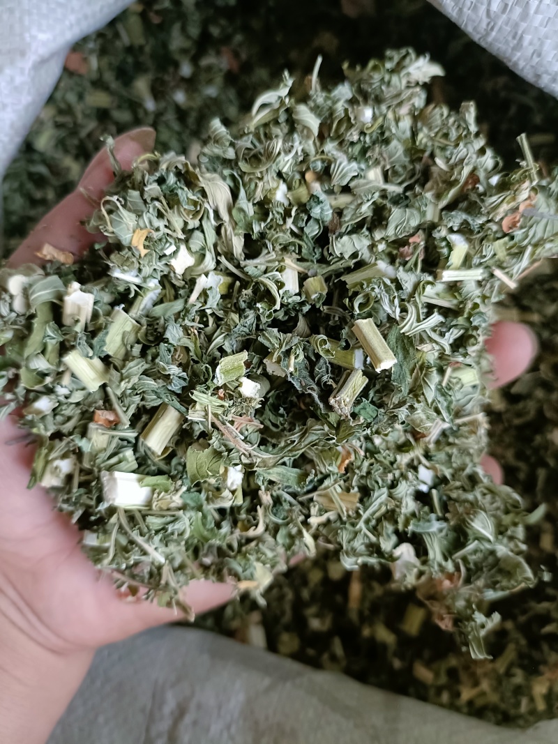 益母草，益母草断子