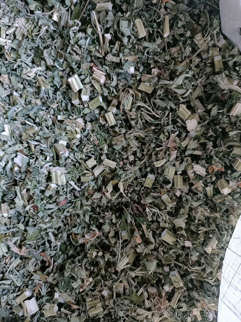益母草，益母草断子