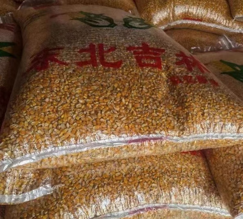 精品碎玉米无尘无土无霉变鸡鸭鹅猪牛羊饲料首选全国包送