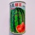 菲律宾系金座甜王西瓜种子甜爽大果短椭圆形特大西瓜种籽耐裂