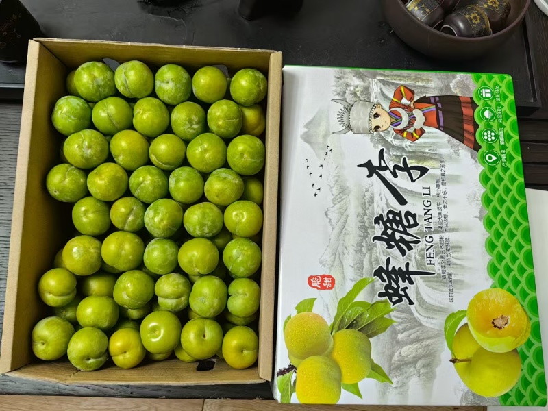 蜂糖李