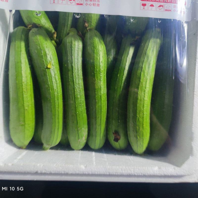 丝瓜