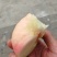 四川毛蟠桃，欢迎订购