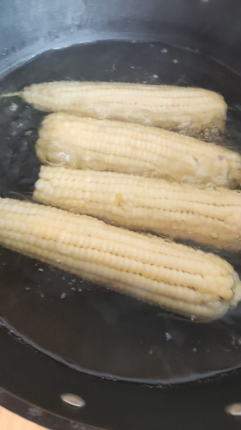 白糯玉米