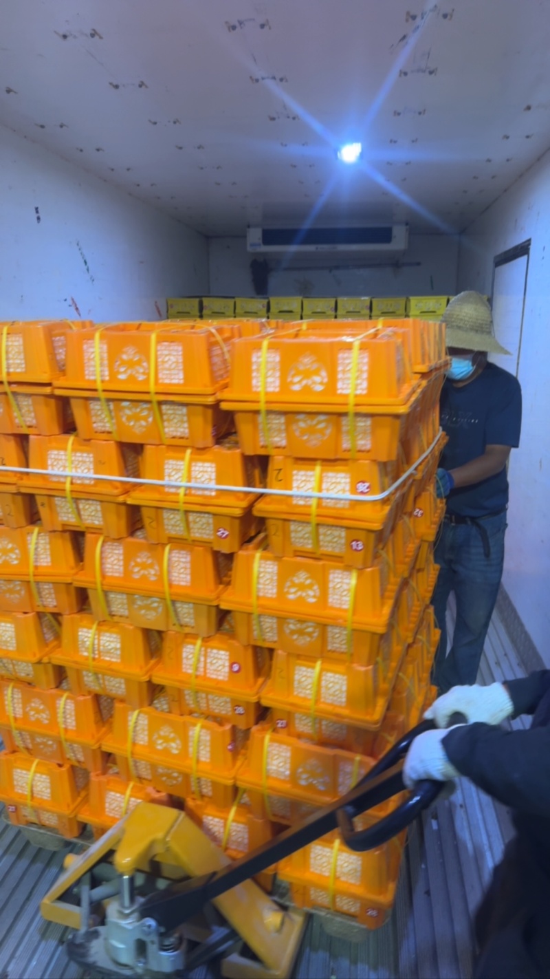 承接市场商超订单供应链标准化精选