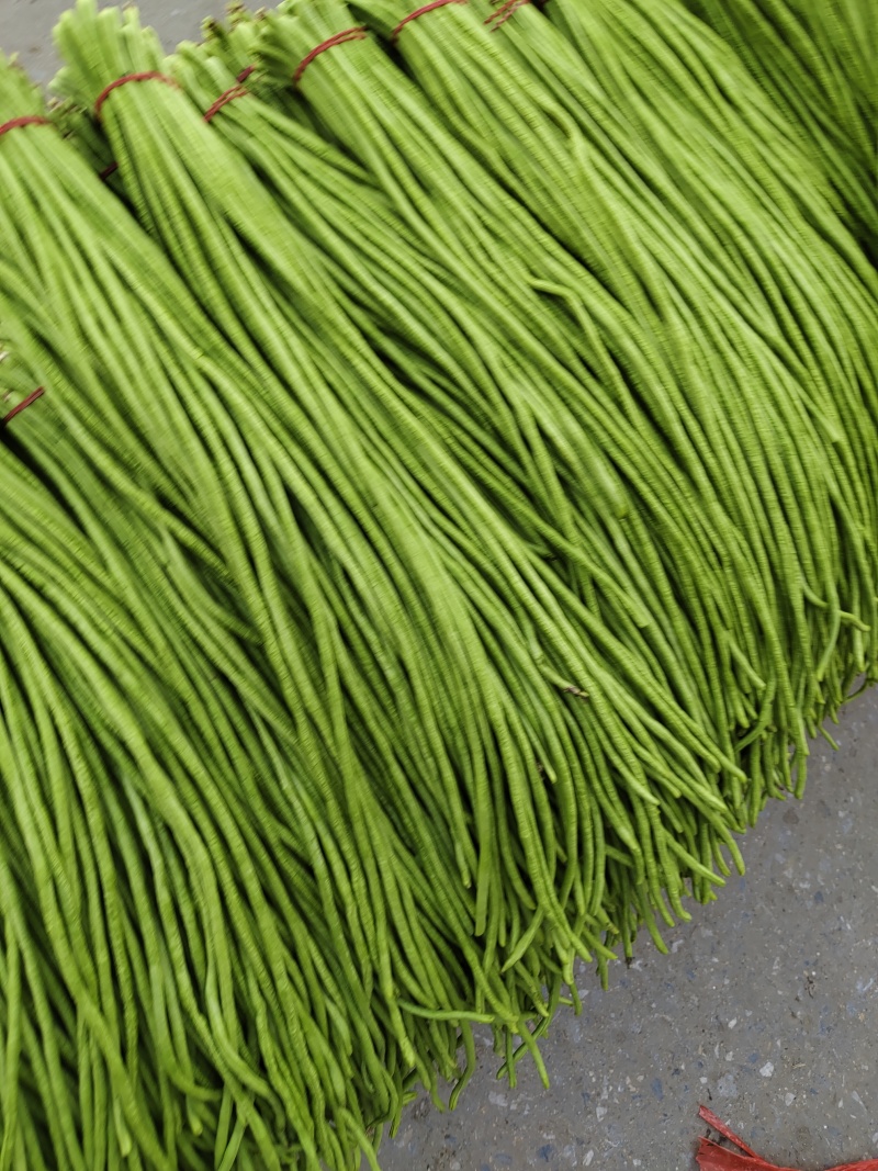 精品豆角