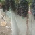 夏黑葡萄