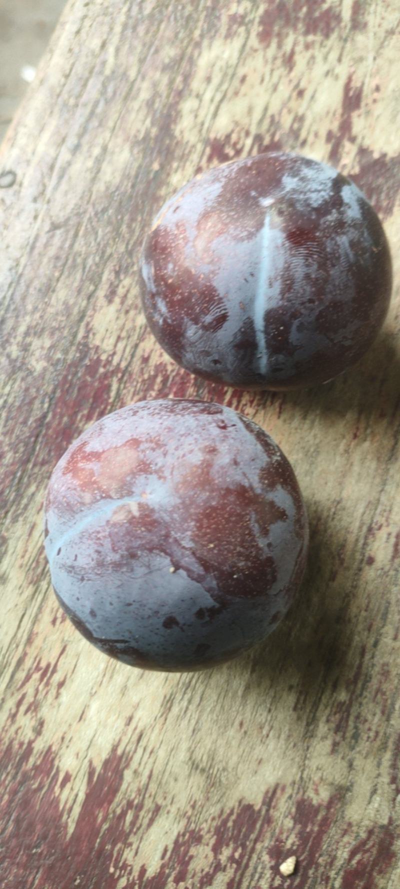 红宝石黑布林，黑琥珀李子