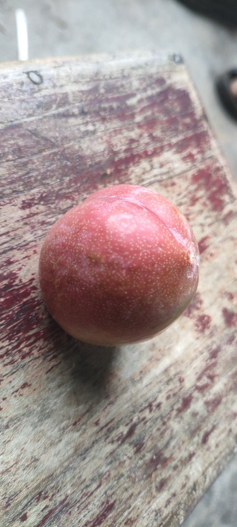 红宝石黑布林，黑琥珀李子