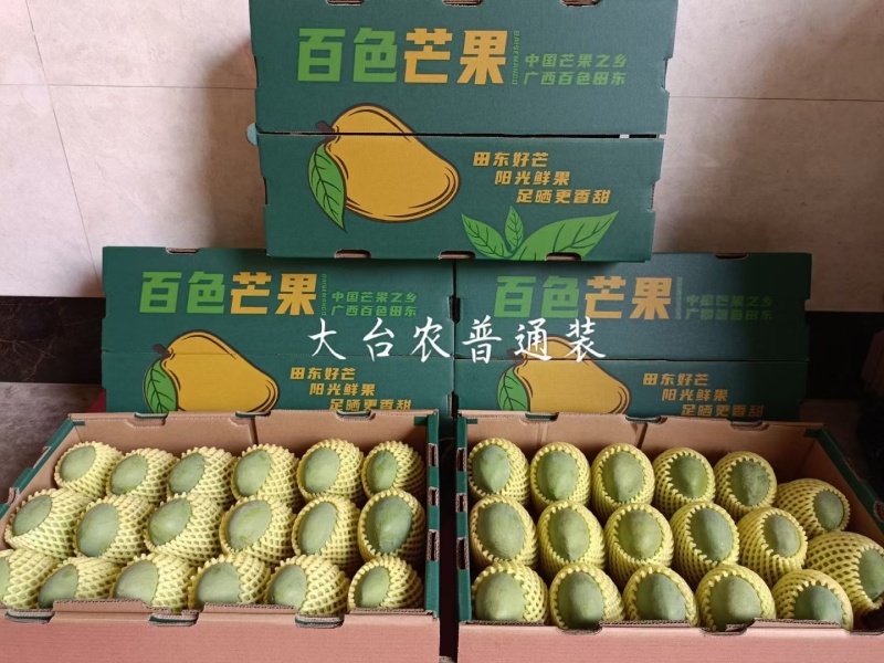 田东芒果
