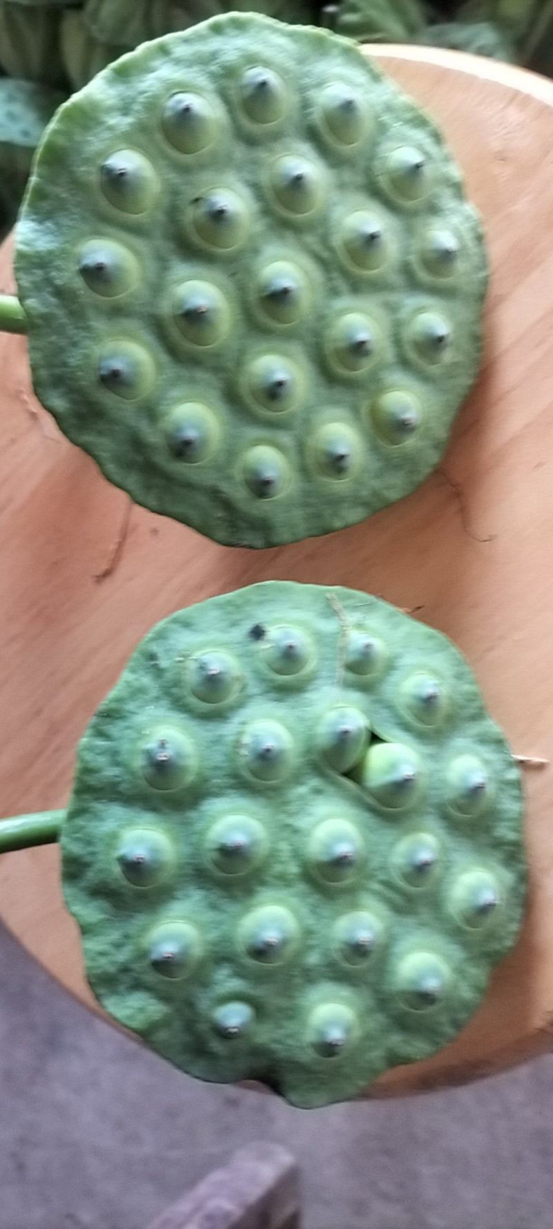 新鲜水果莲蓬