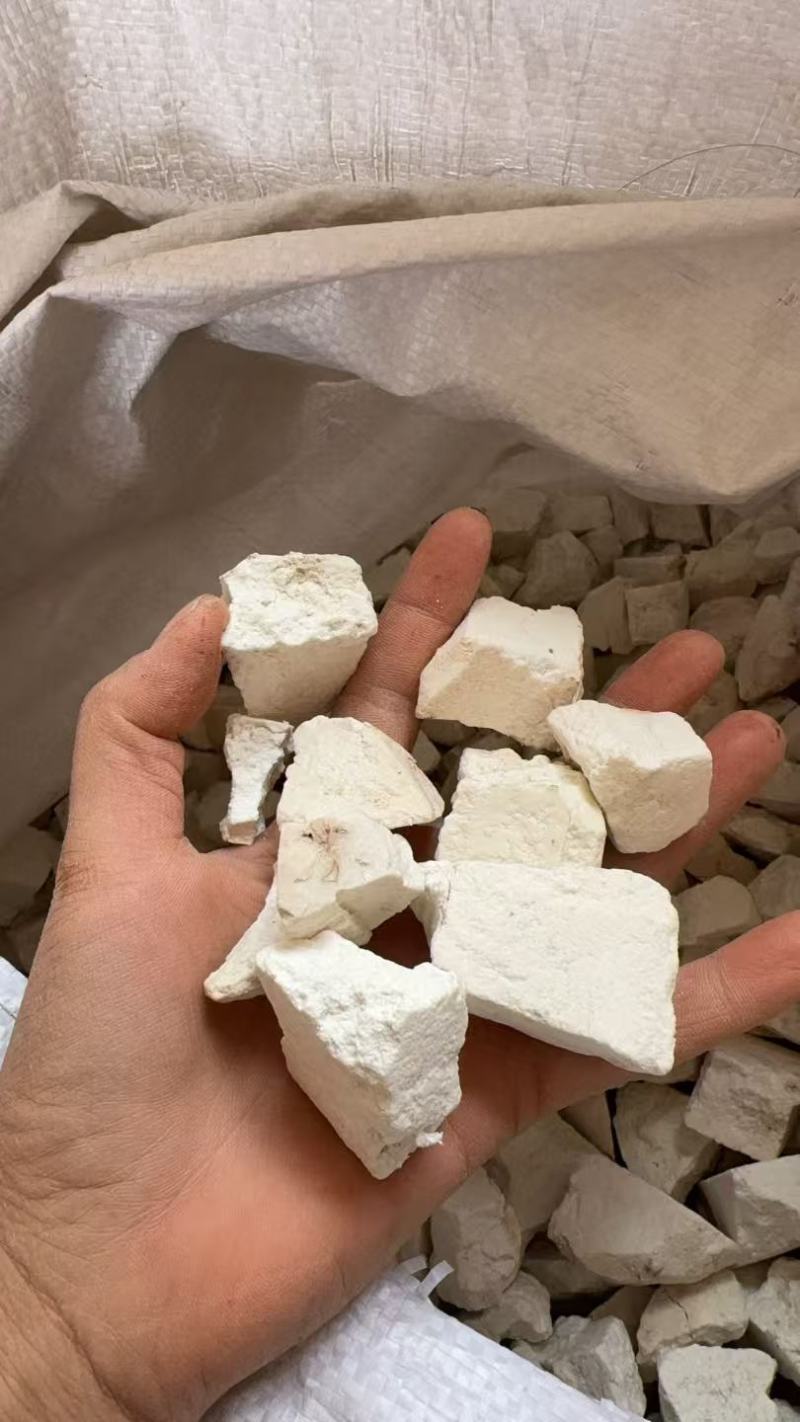 茯苓干货包邮