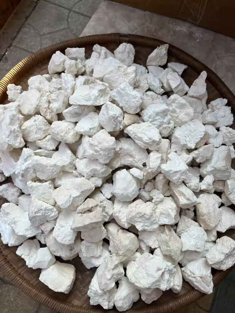 茯苓干货包邮