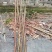杂木条，1m5~2木条很重，很结实，两条4斤半重。