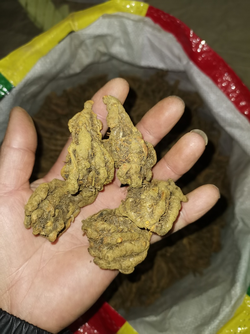黄连，