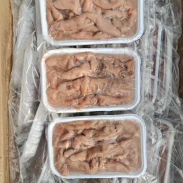 海肠到货，品质高