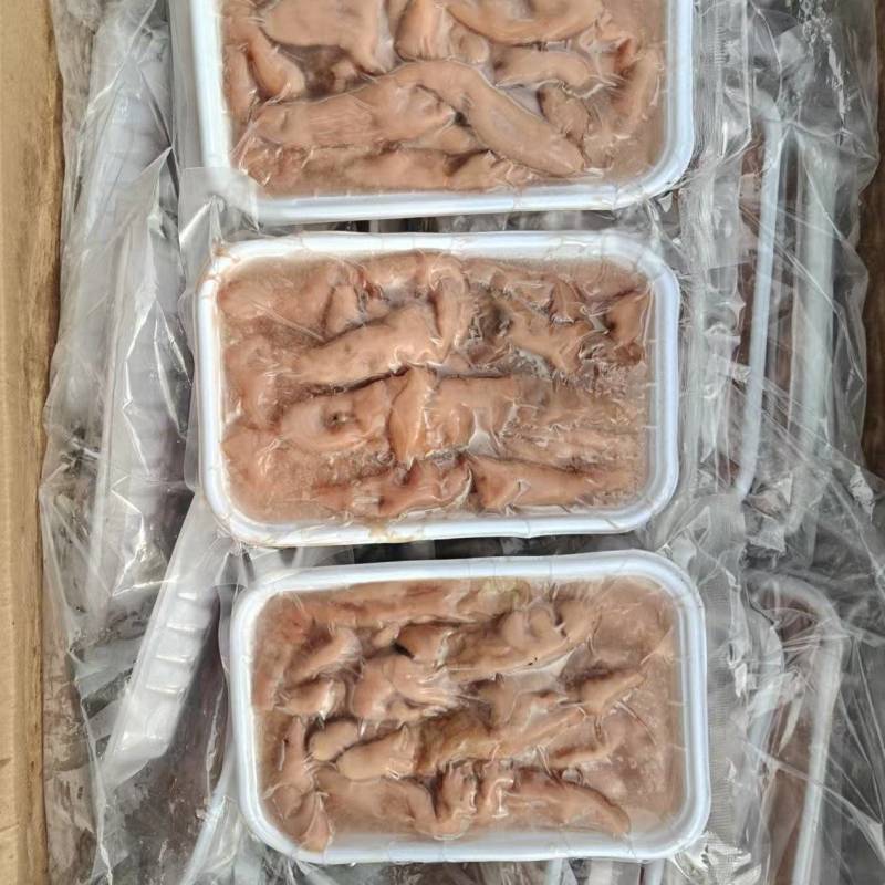 海肠到货，品质高