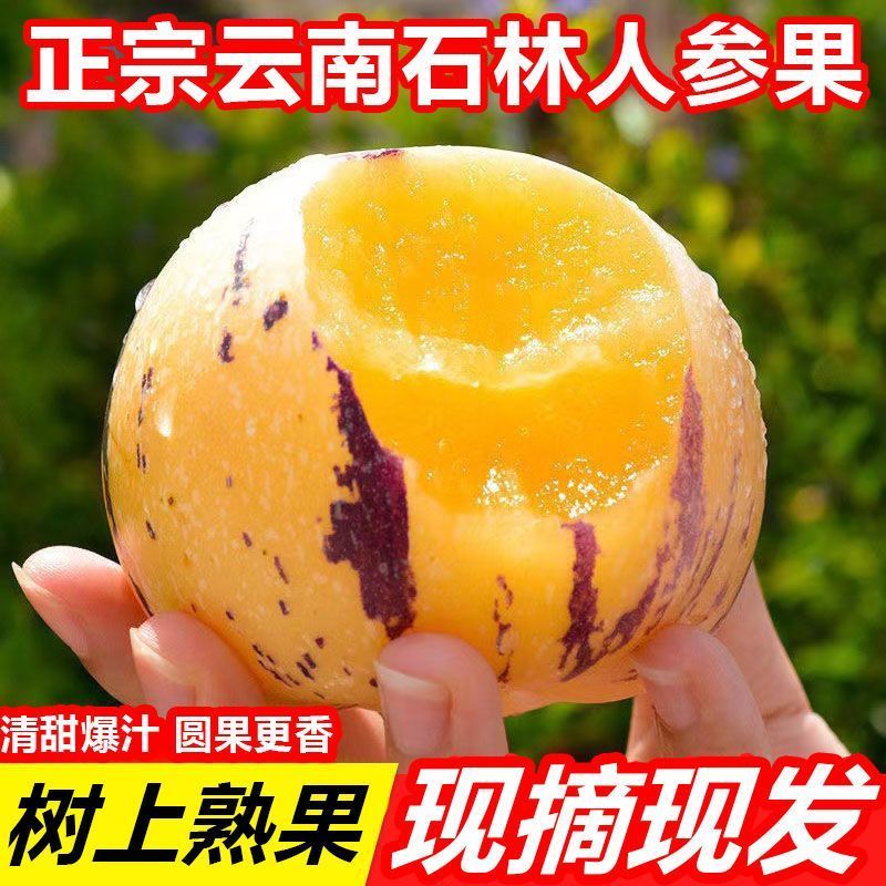 人参果代发商超供应欢迎合作