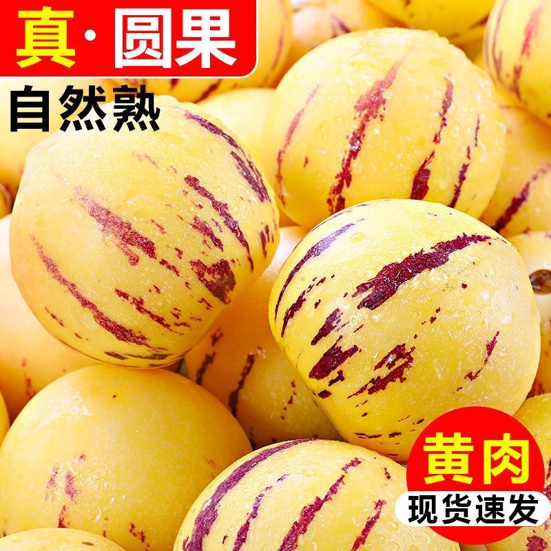 人参果代发商超供应欢迎合作