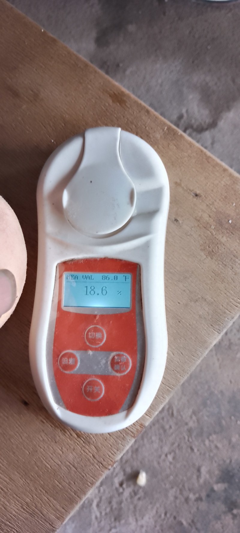 奉化水蜜桃