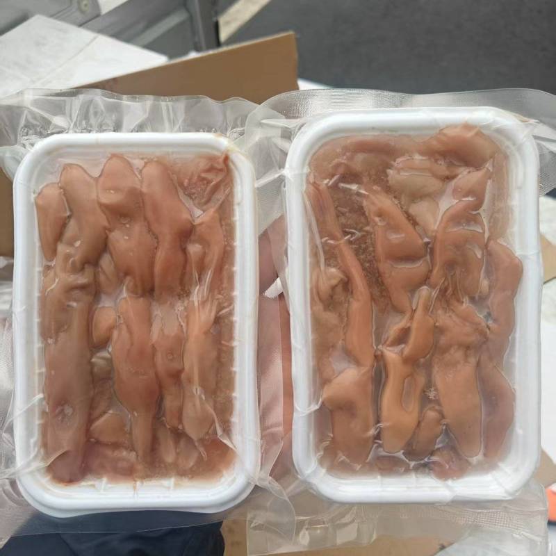 海肠，品质好