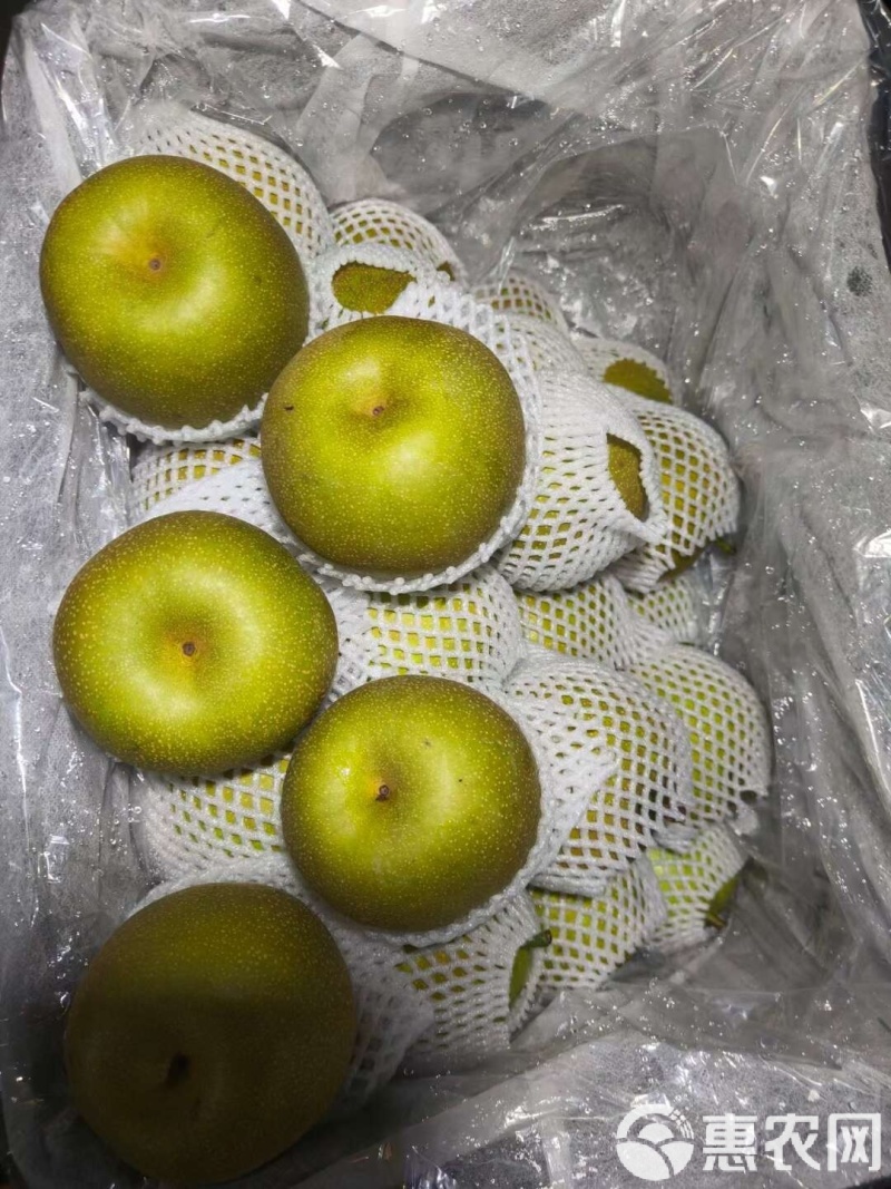 湖北酥脆一号翠冠梨苹果梨对接电商社区团购，市场可代发货