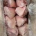 后肘