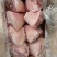 后肘