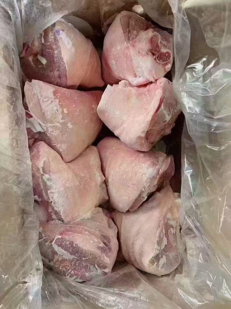 后肘