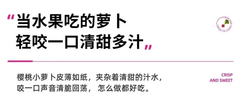包邮）云南新鲜樱桃萝卜迷你小萝卜水果萝卜甜脆水果型清洗