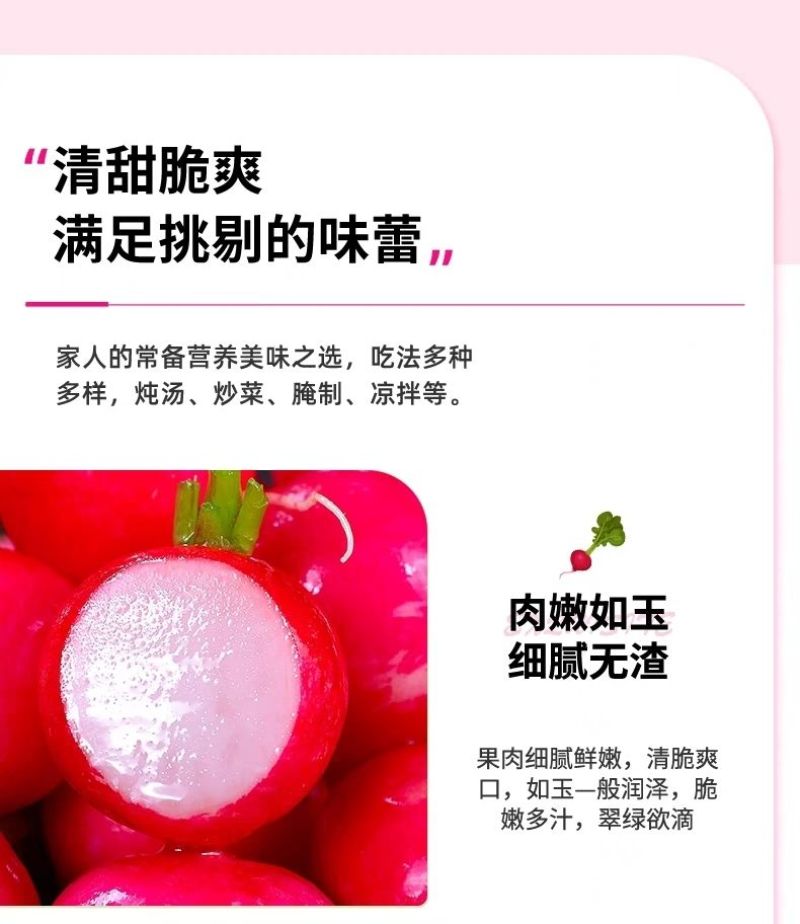 包邮）云南新鲜樱桃萝卜迷你小萝卜水果萝卜甜脆水果型清洗