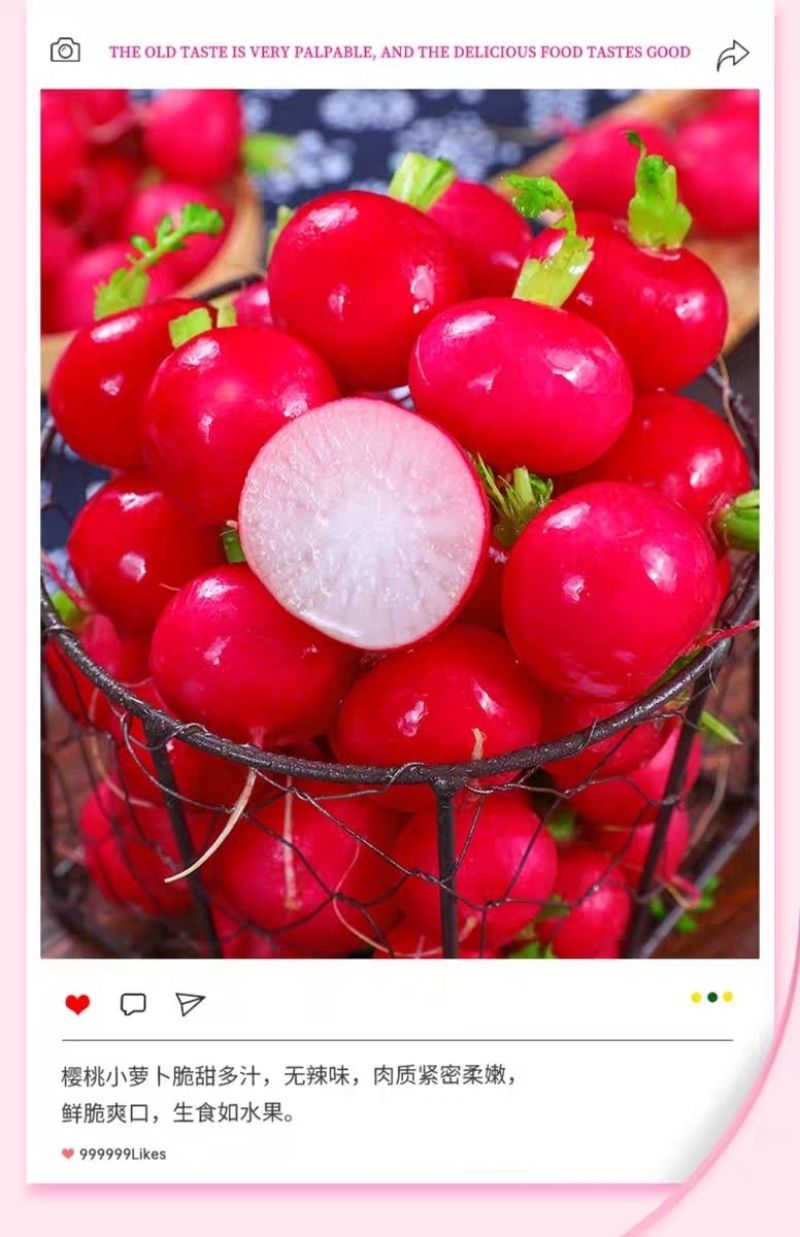包邮）云南新鲜樱桃萝卜迷你小萝卜水果萝卜甜脆水果型清洗