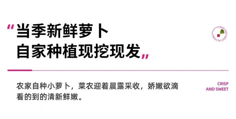 包邮）云南新鲜樱桃萝卜迷你小萝卜水果萝卜甜脆水果型清洗