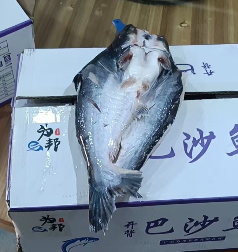 纯干巴沙鱼，质量超好，一箱20斤9-10条